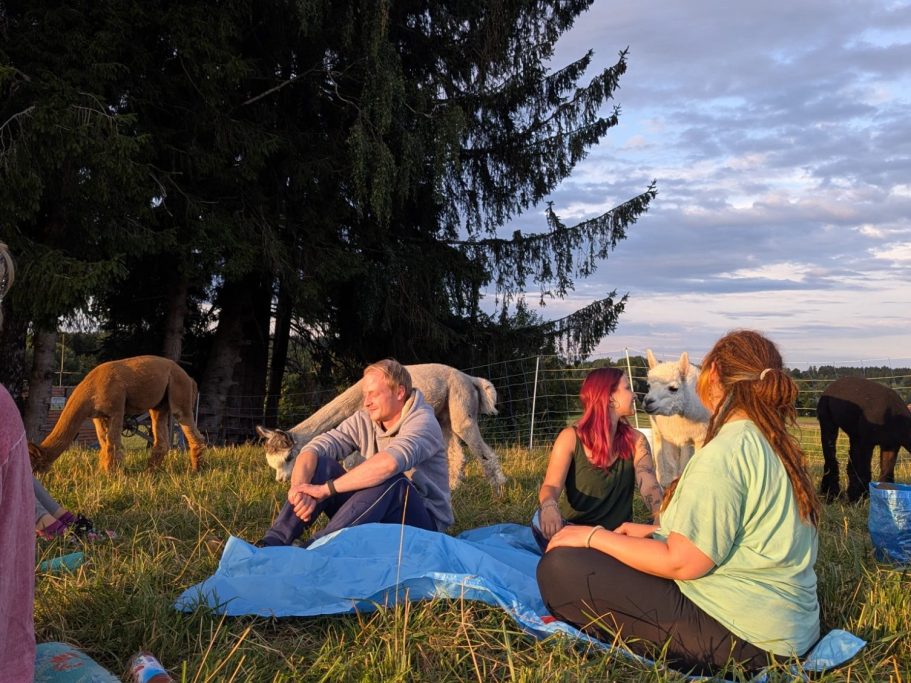 Alpaka Garten - Alpaka Wanderungen am Ammersee Zwei Personen sitzen auf einer Wiese, umgeben von mehreren Alpakas unter einem Baum.